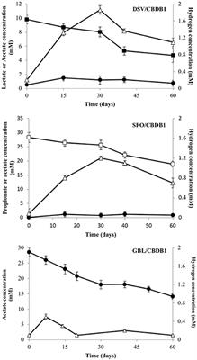 Syntrophic Partners Enhance Growth and Respiratory Dehalogenation of Hexachlorobenzene by Dehalococcoides mccartyi Strain CBDB1